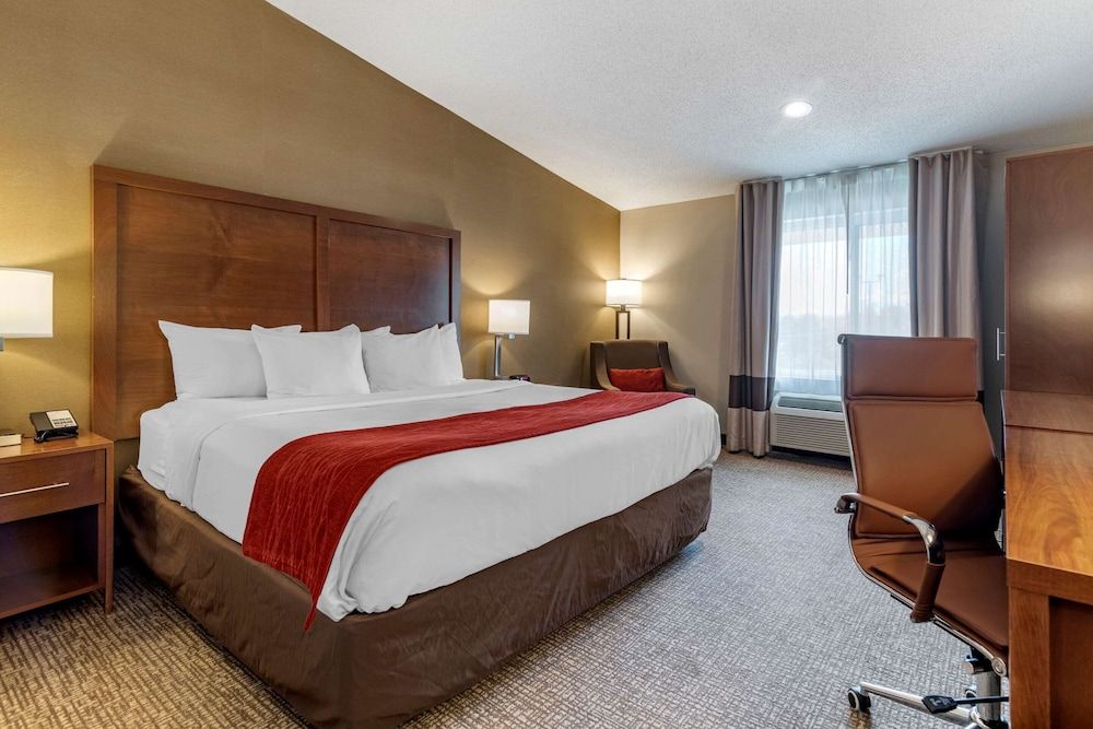 Standard Room, 1 King Bed, Non Smoking
