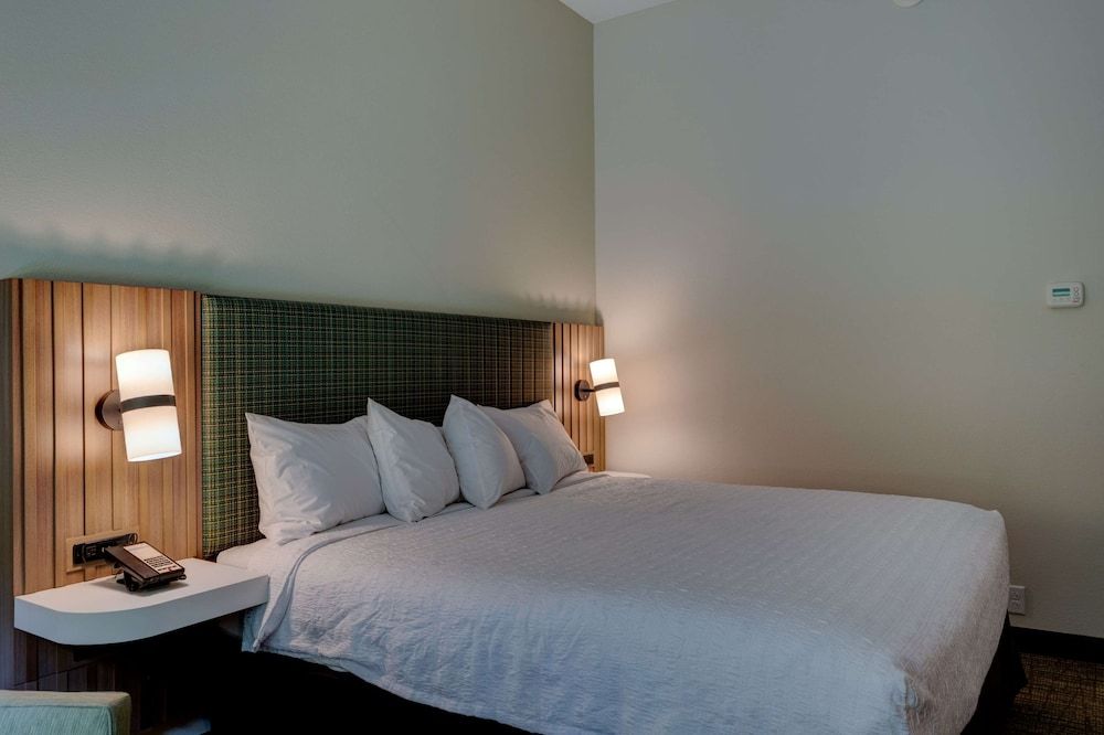 Room, 1 King Bed, Non Smoking