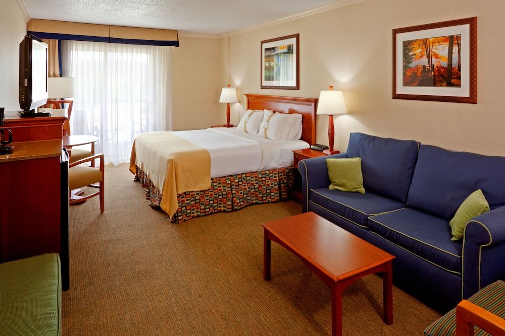 Premium Room, 1 King Bed with Sofa bed, Pool View
