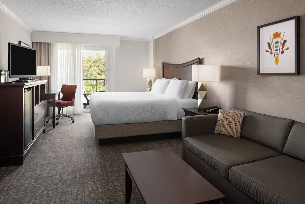 Premium Room, 1 King Bed with Sofa bed, Pool View