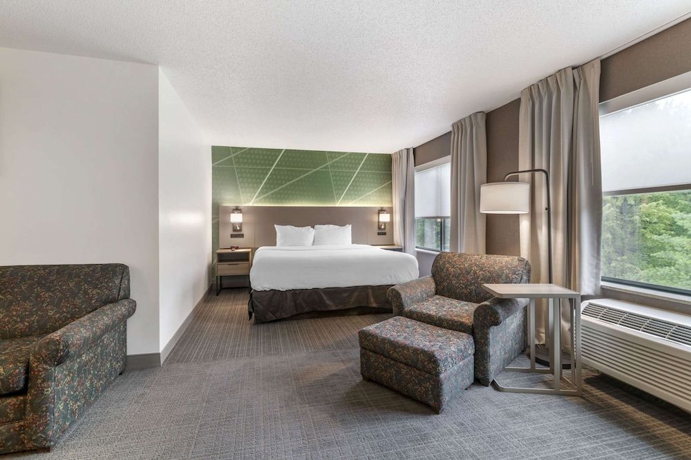 Suite, 1 King Bed with Sofa bed, Accessible, Non Smoking (2 Televisions)