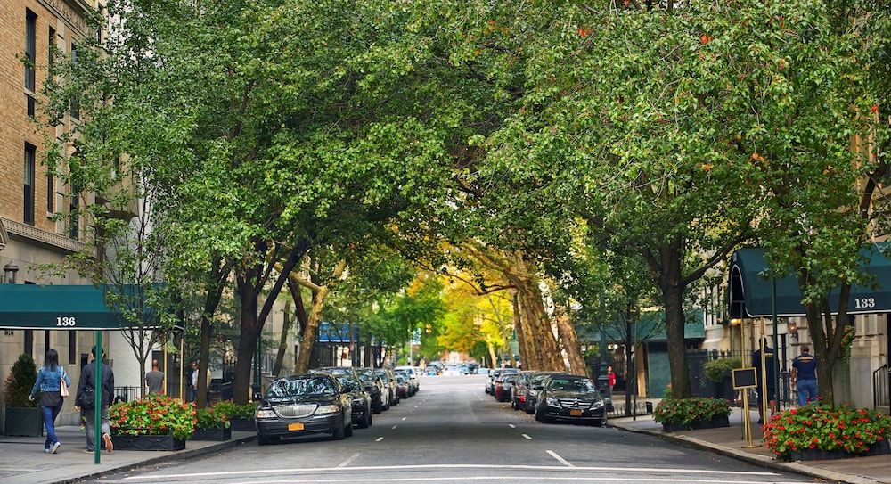 undefined The Gardens Sonesta ES Suites New York