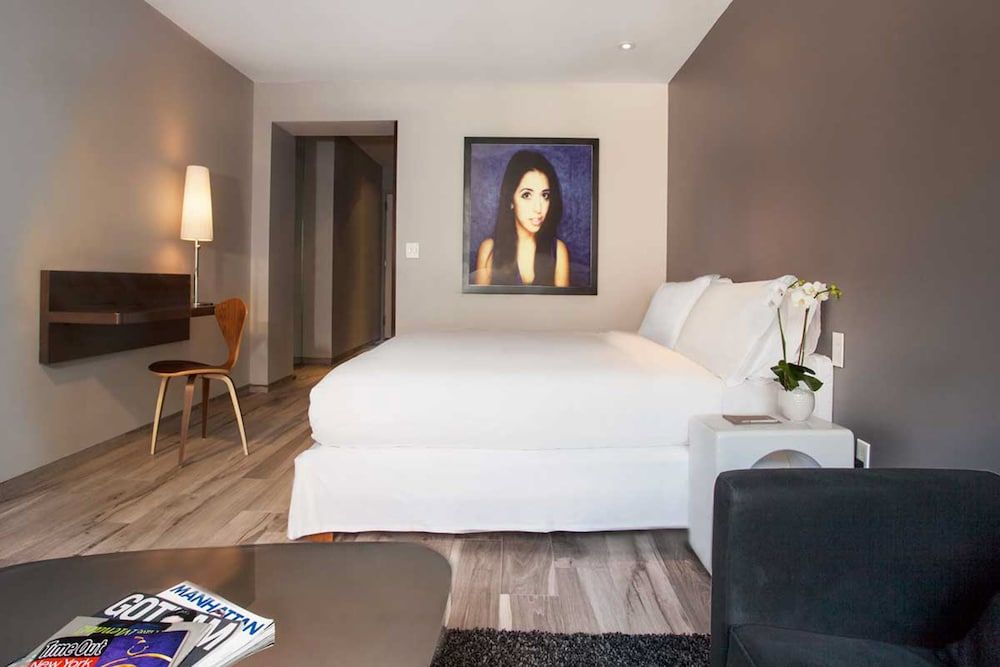 Hotel On Rivington Room, 1 King Bed 3