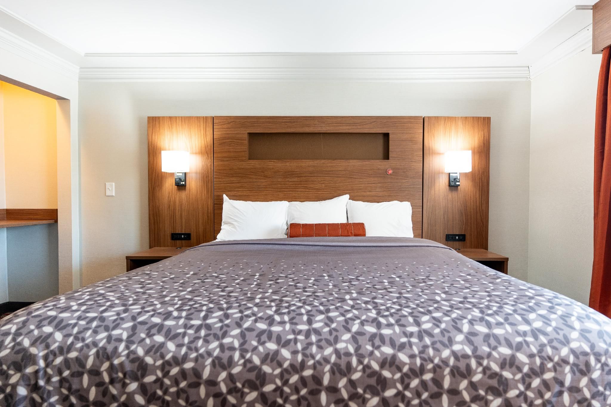 Kalika Hotel 1 King Bed