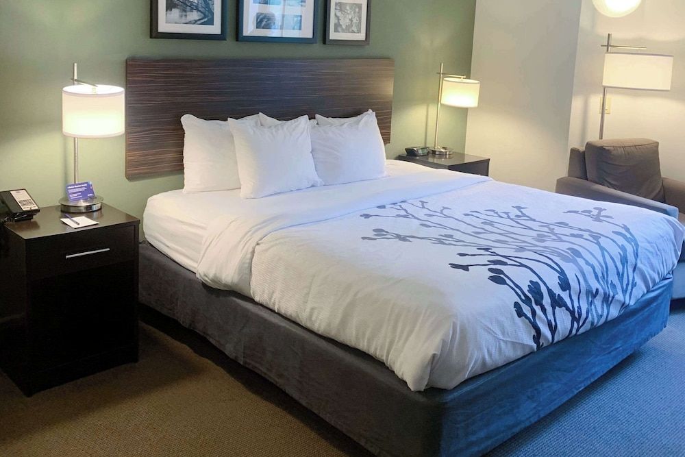 Standard Room, 1 King Bed, Non Smoking