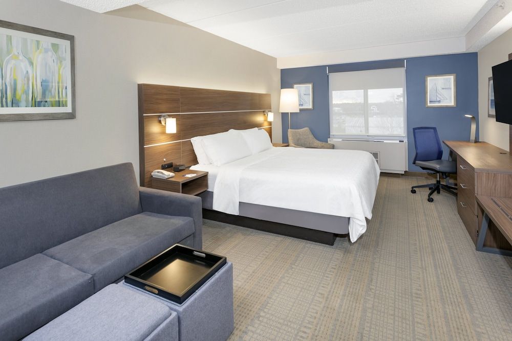 Suite, 1 King Bed with Sofa bed