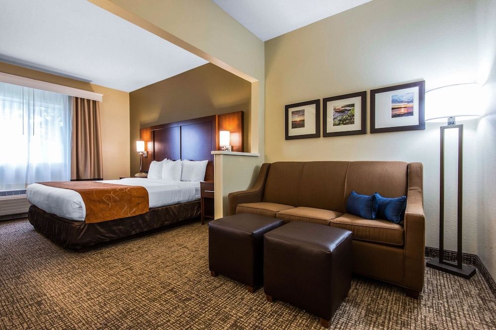 Suite, 1 King Bed with Sofa bed