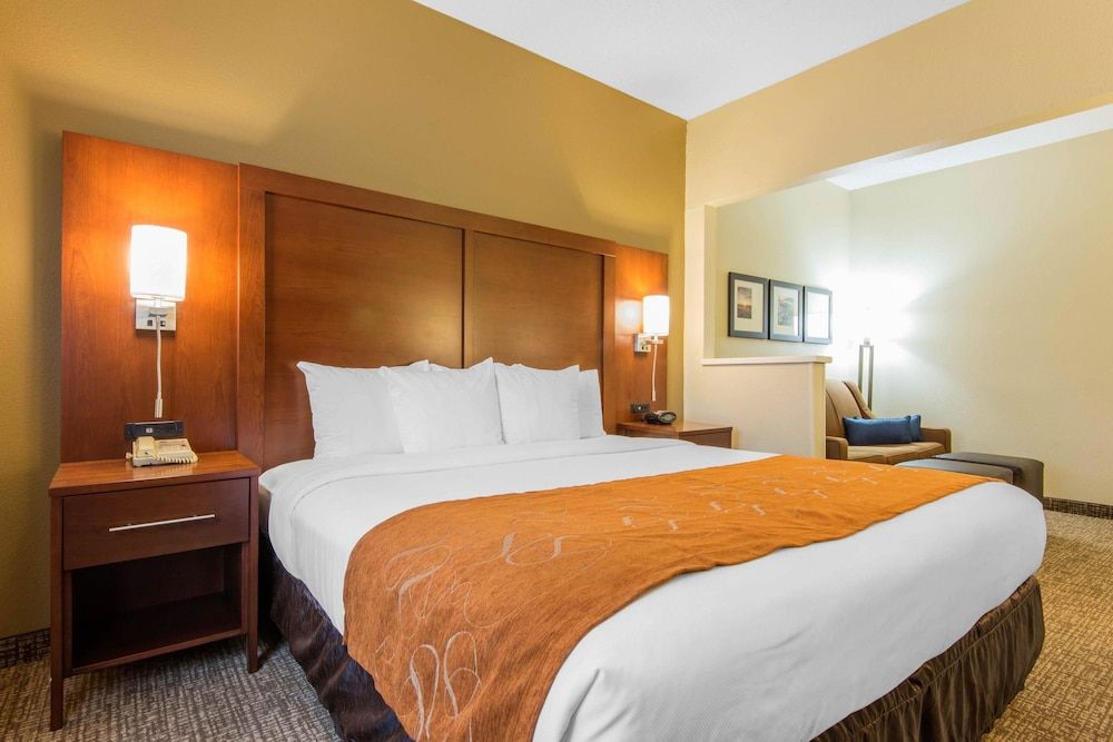 Suite, 1 King Bed with Sofa bed, Accessible, Non Smoking (Roll-In Shower)
