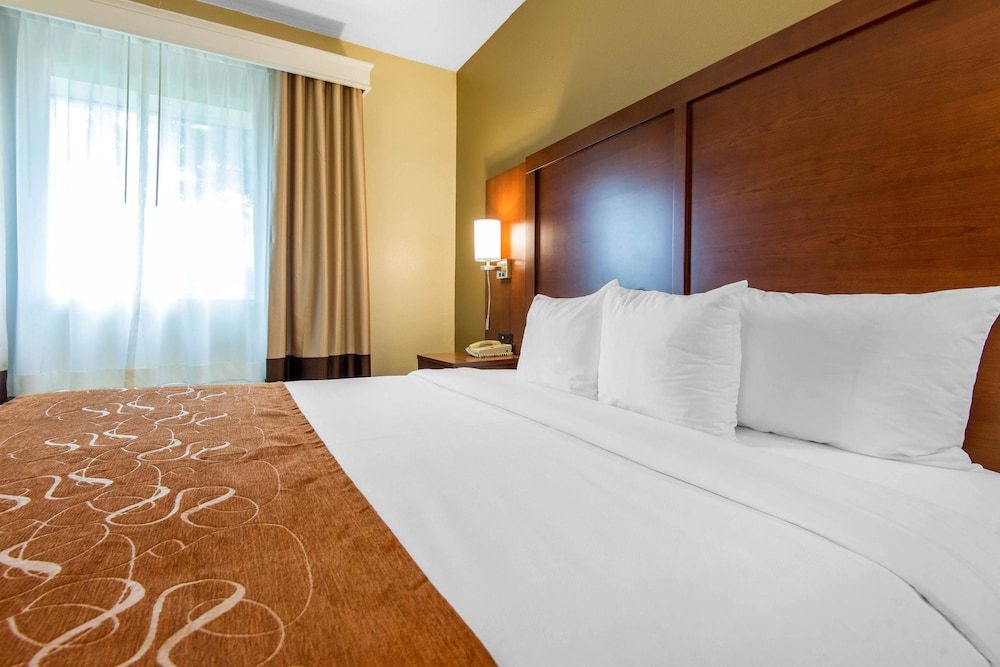 Suite, 1 King Bed with Sofa bed, Accessible, Non Smoking (Roll-In Shower)