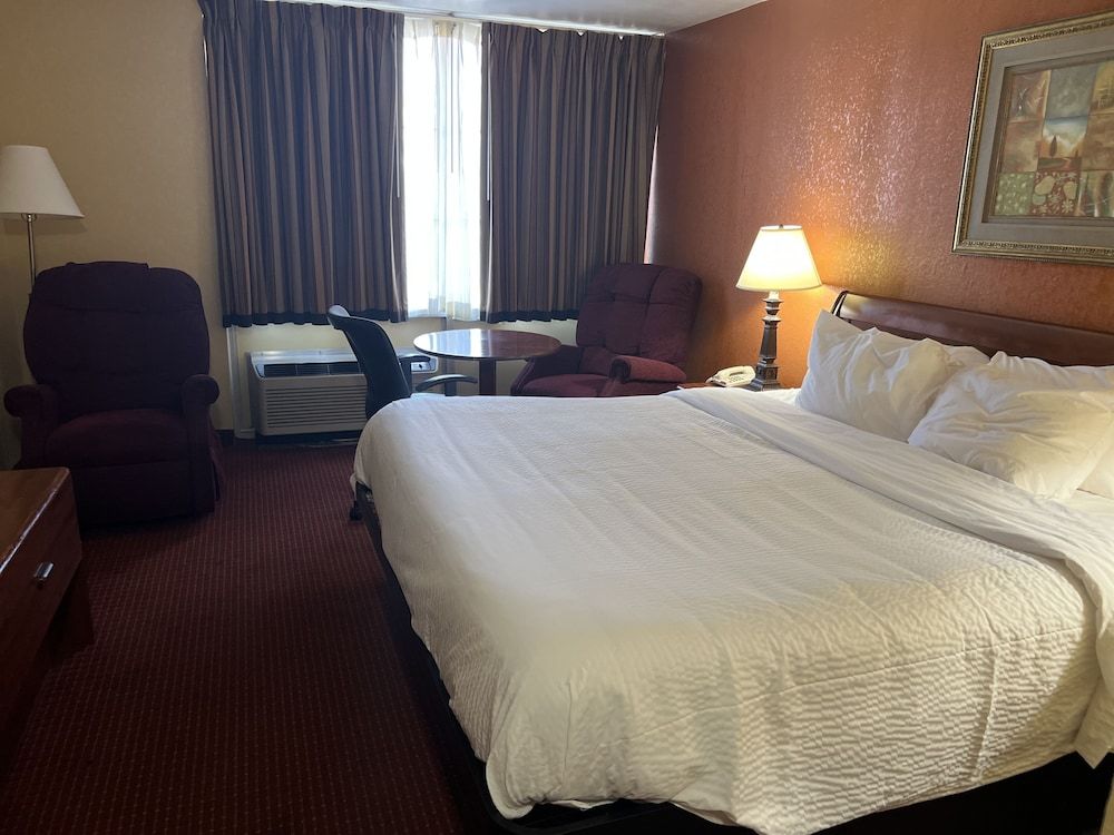 Room, 1 King Bed, Non Smoking