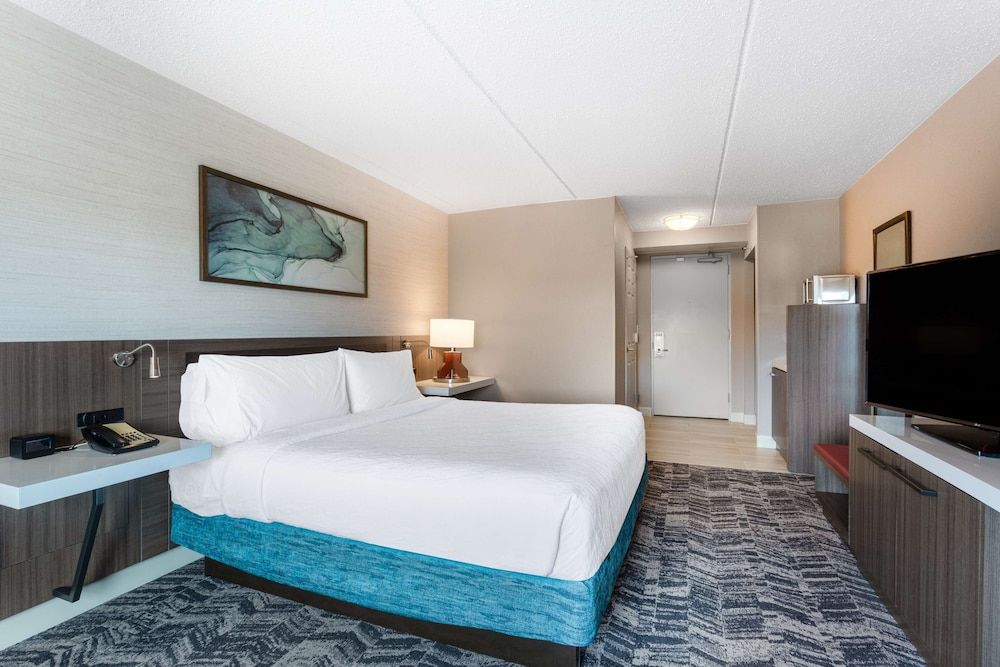 Room, 1 King Bed