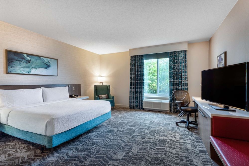 Room, 1 King Bed, Accessible, Bathtub