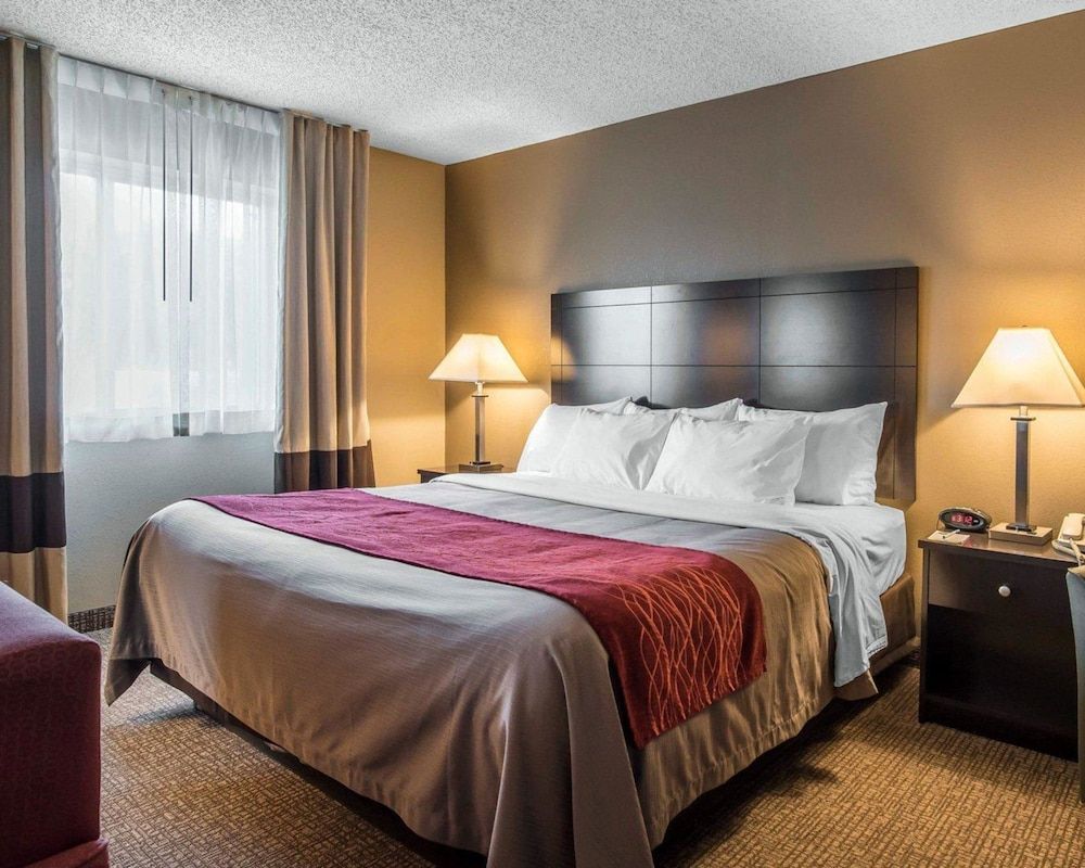 Standard Room, 1 King Bed with Sofa bed, Non Smoking