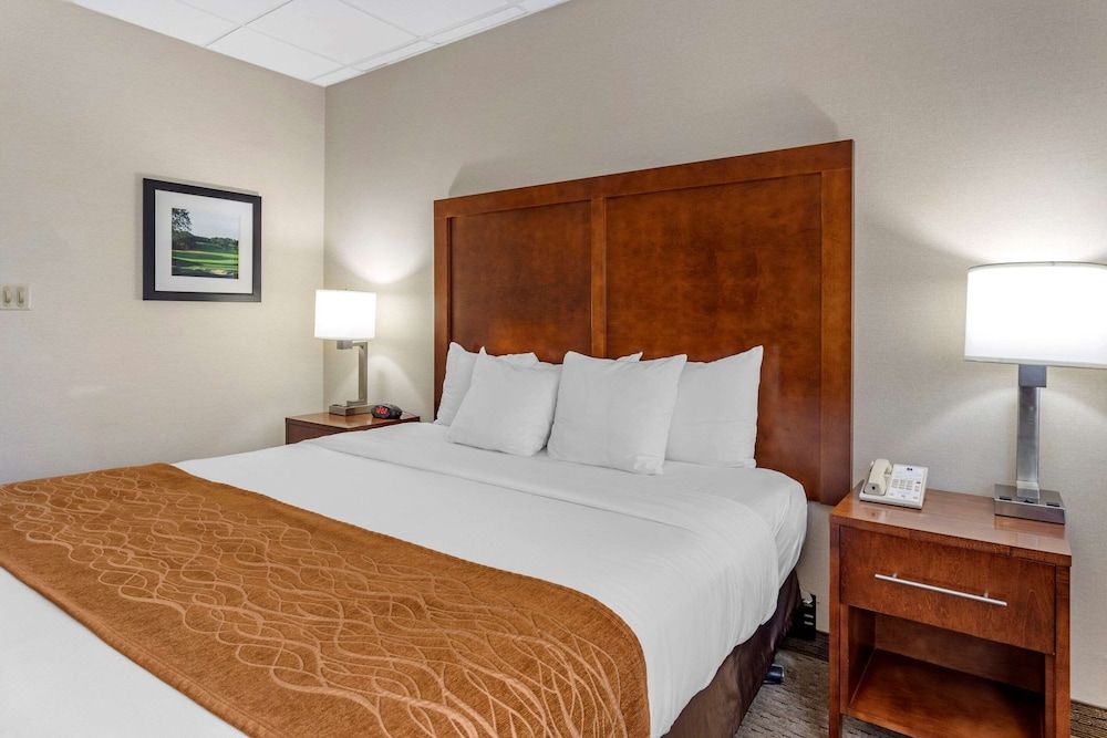 Standard Room, 1 King Bed, Non Smoking