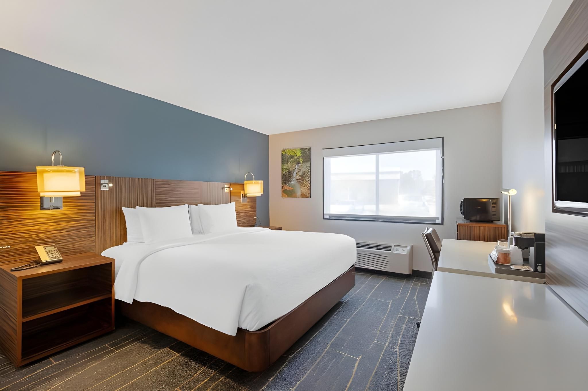 1 King Bed, Nonsmoking