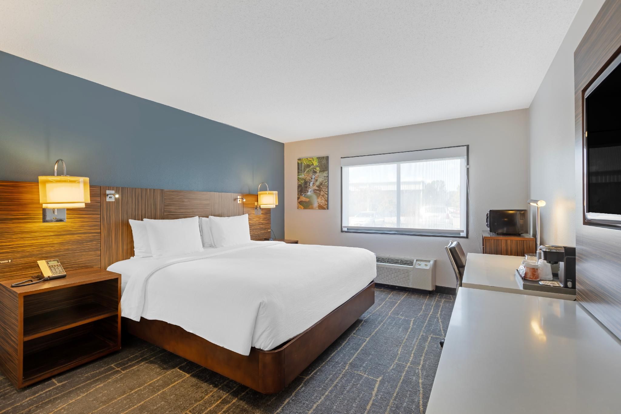 1 King Bed, Nonsmoking, Accessible