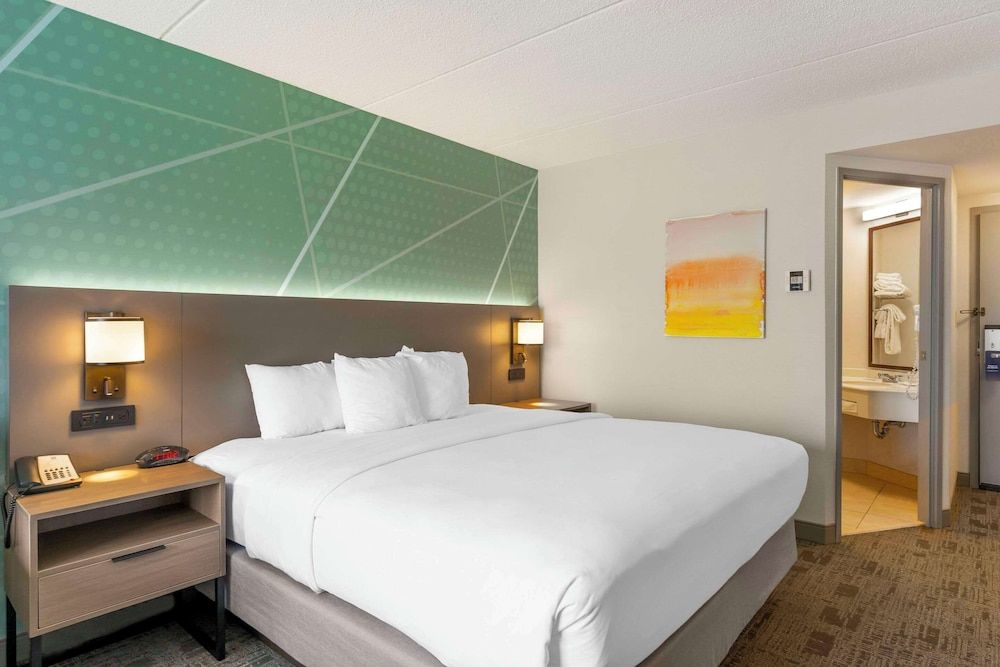 Standard Room, 1 King Bed, Non Smoking (Jacuzzi Tub)
