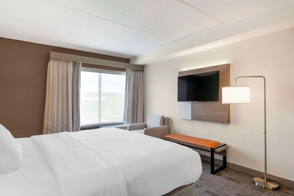 Room, 1 King Bed, Accessible, Non Smoking