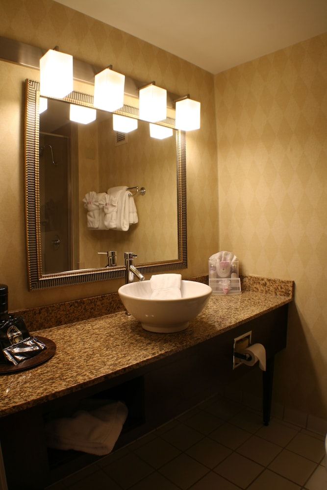 Suite, 1 King Bed