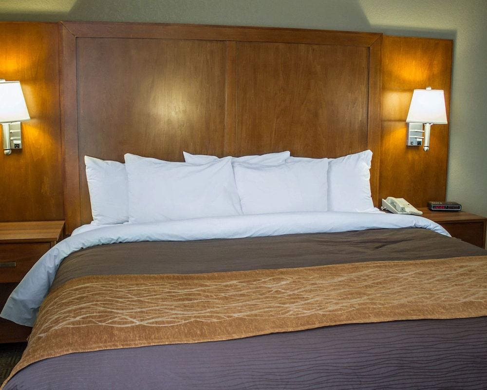 Standard, King and Sofa Bed
