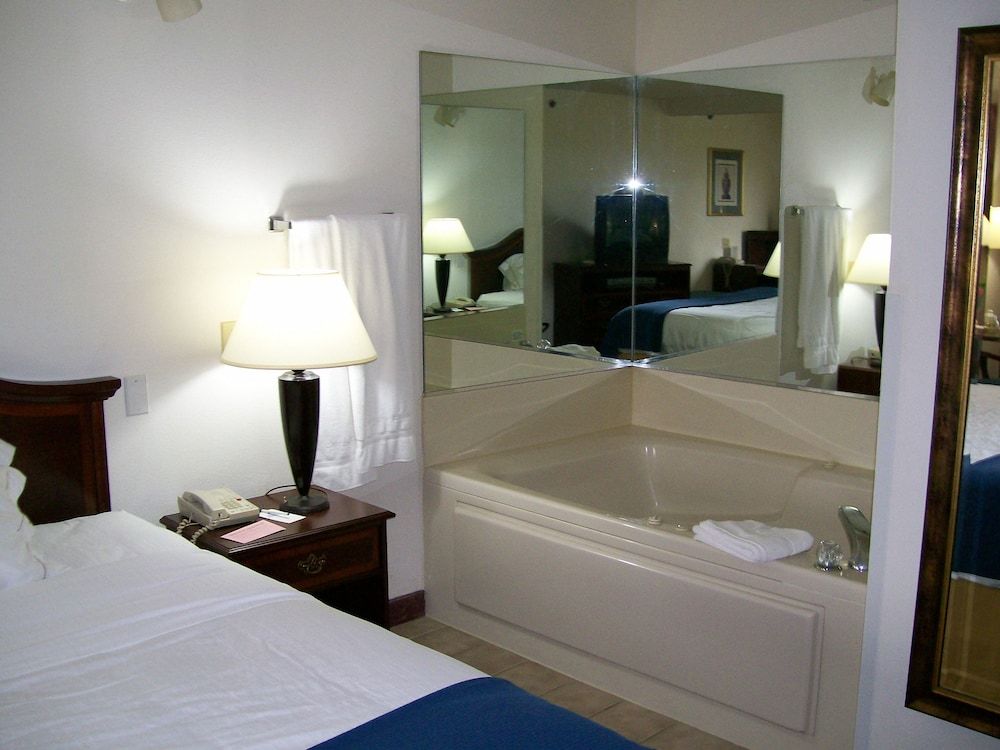 Suite, 1 King Bed with Sofa bed