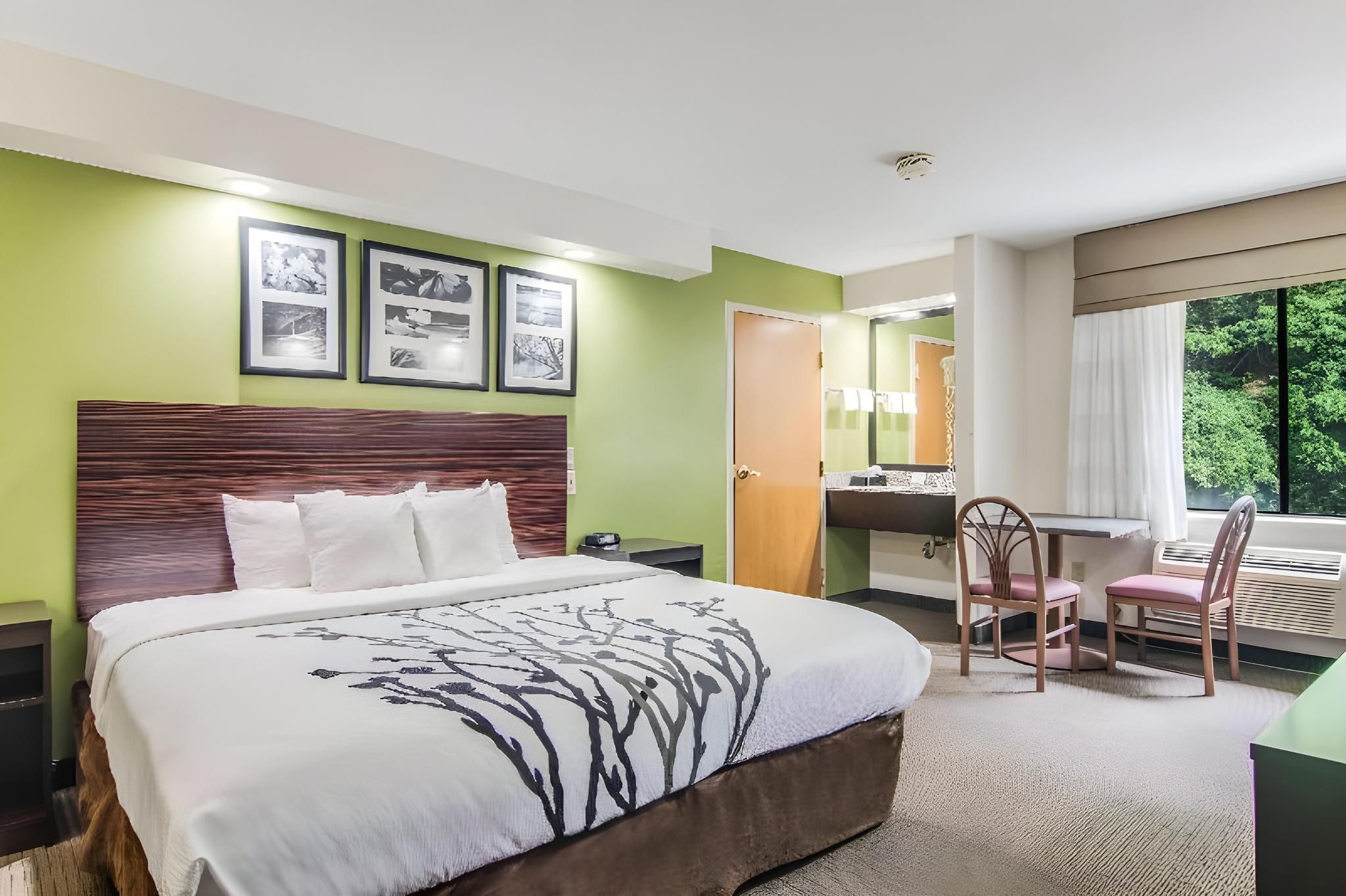 1 King Bed Nonsmoking