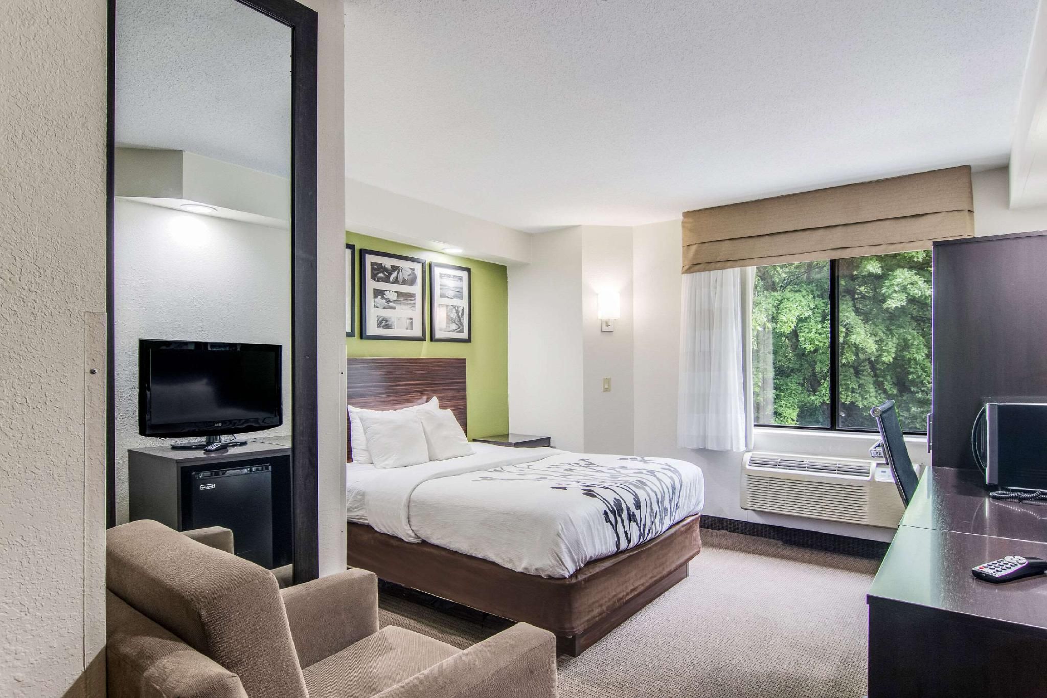 1 Queen Bed, Nonsmoking, Accessible