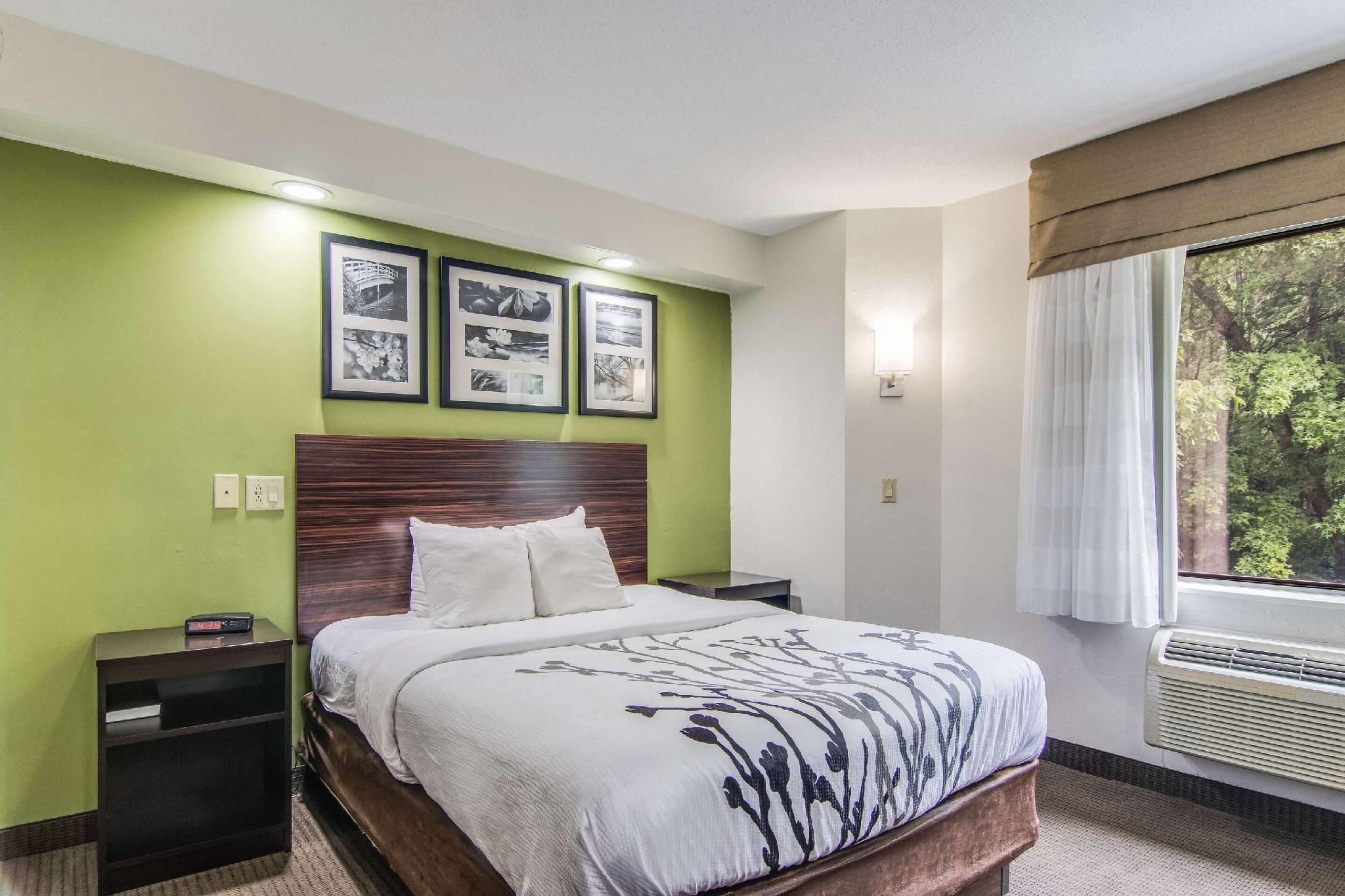 1 Queen Bed, Nonsmoking, Accessible