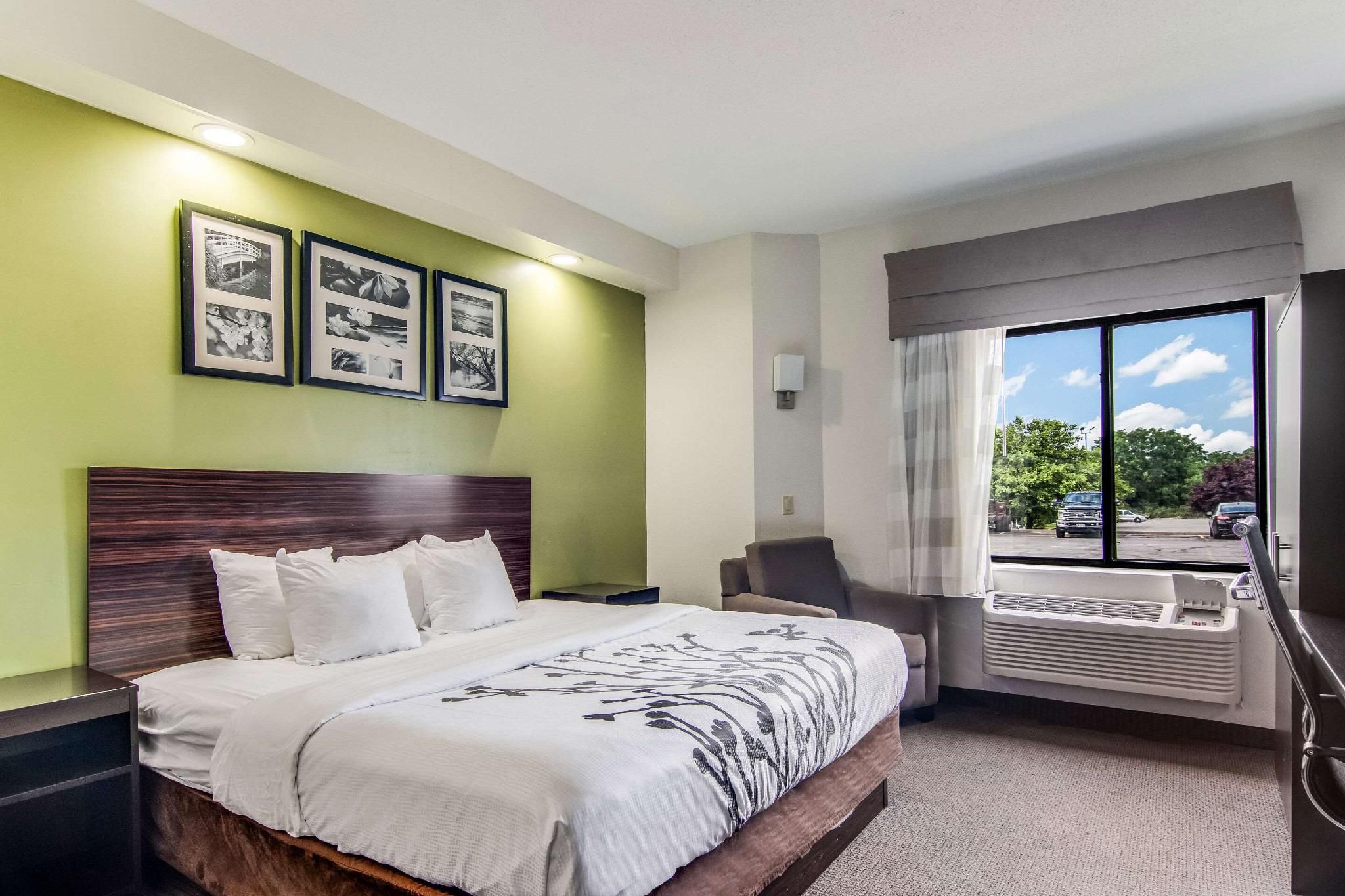 1 King Bed, Nonsmoking