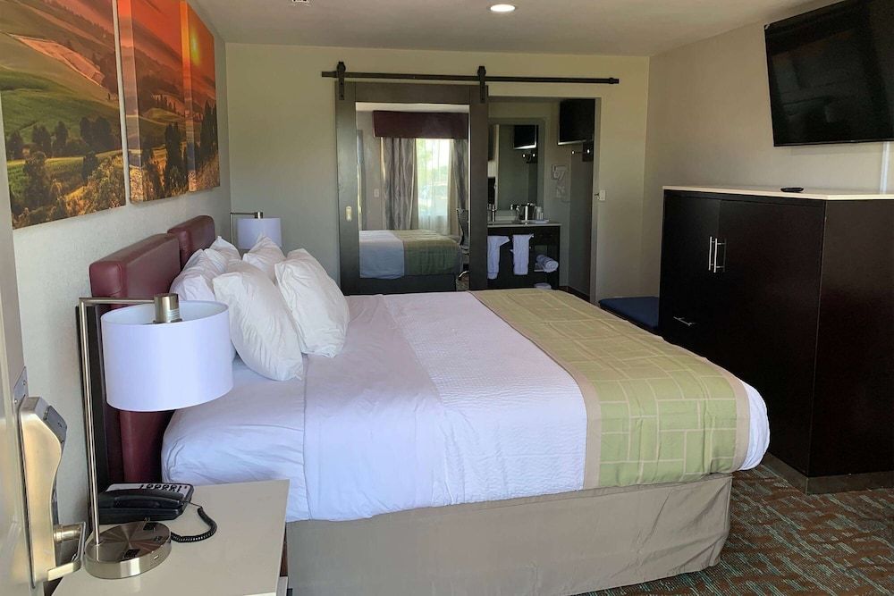 Room, 1 King Bed, Accessible, Non Smoking (Roll-In Shower)