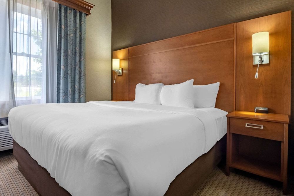 Suite, 1 King Bed with Sofa bed, Non Smoking