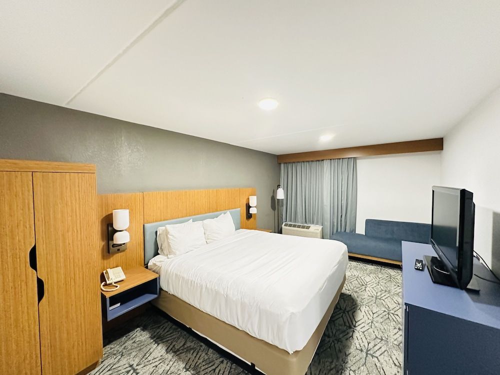 Suite, 1 King Bed with Sofa bed, Non Smoking