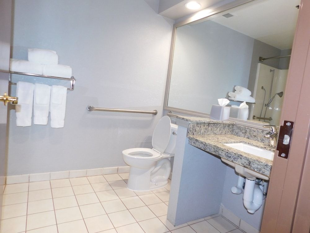 Suite, 1 King Bed with Sofa bed, Accessible (Roll-In Shower)