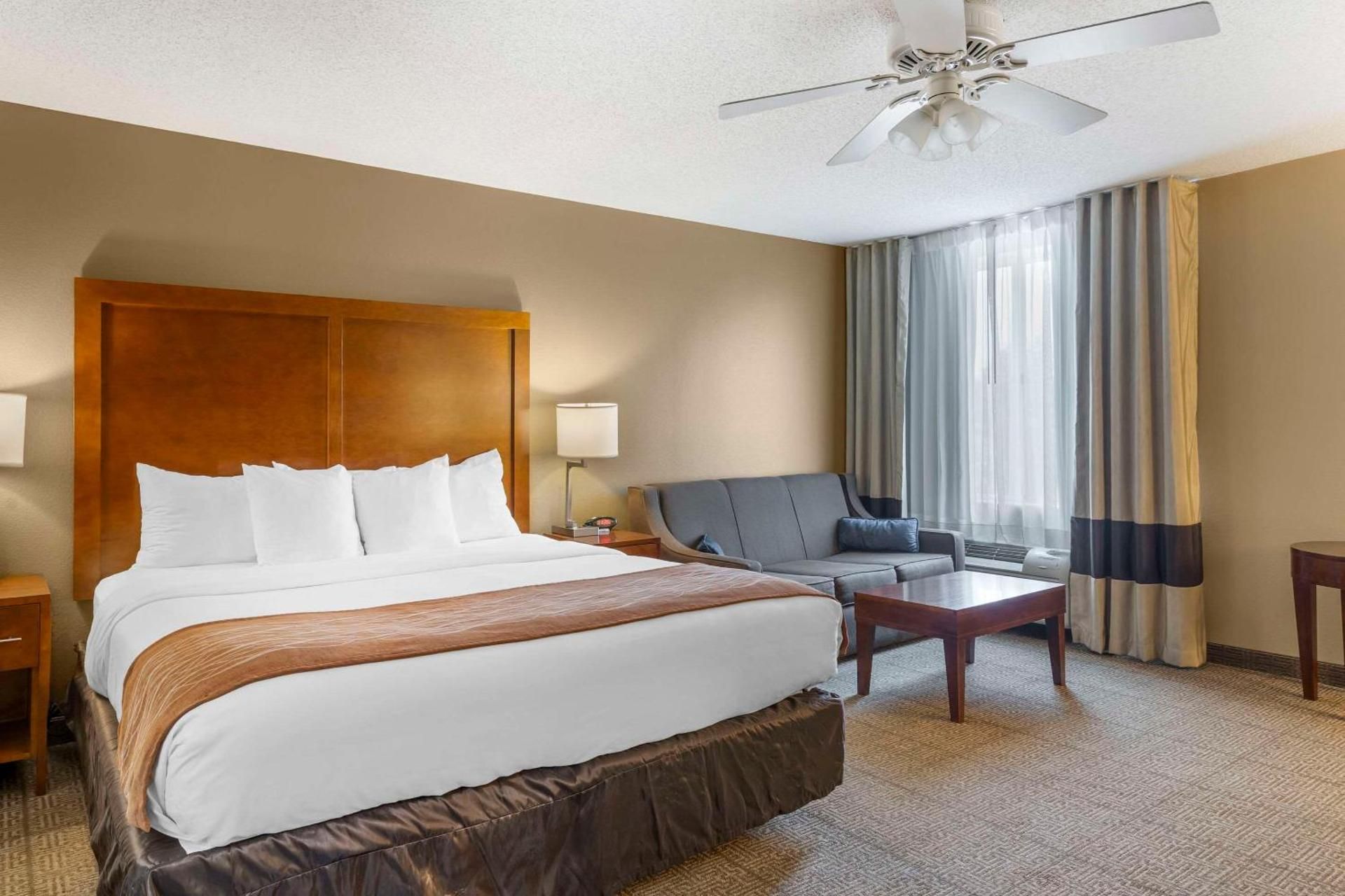 1 King Bed, Nonsmoking
