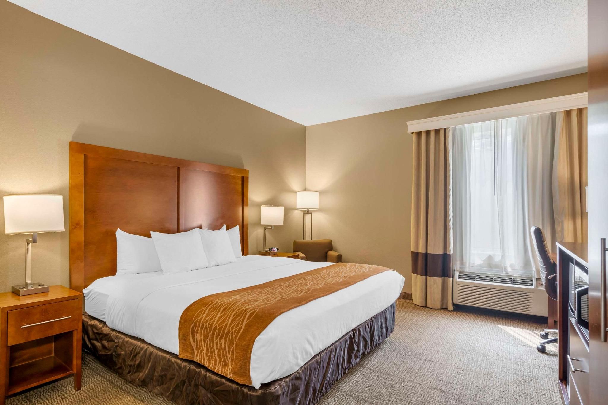 1 King Bed, Nonsmoking, Accessible