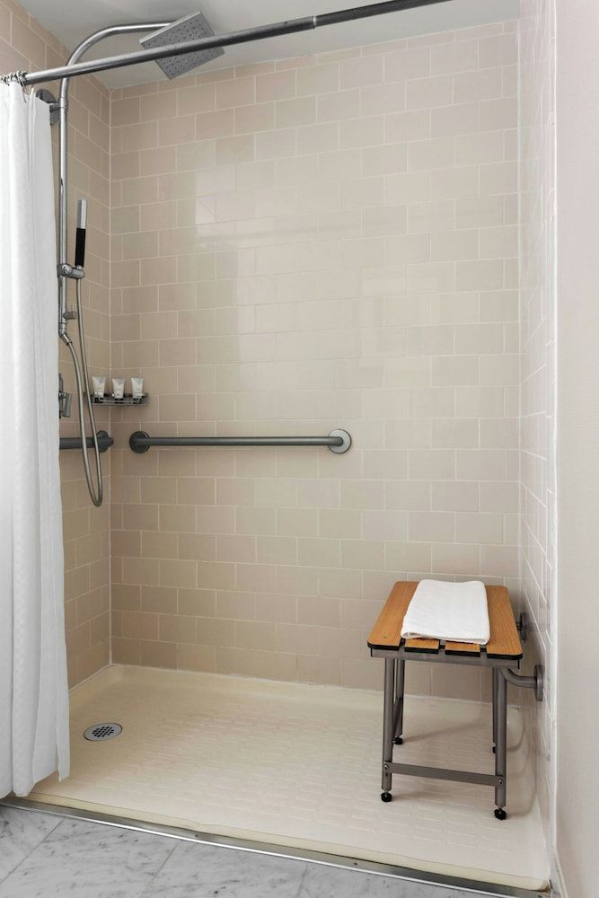 Room, 1 King Bed, Non Smoking (Mobility Accessible, Roll-in Shower)