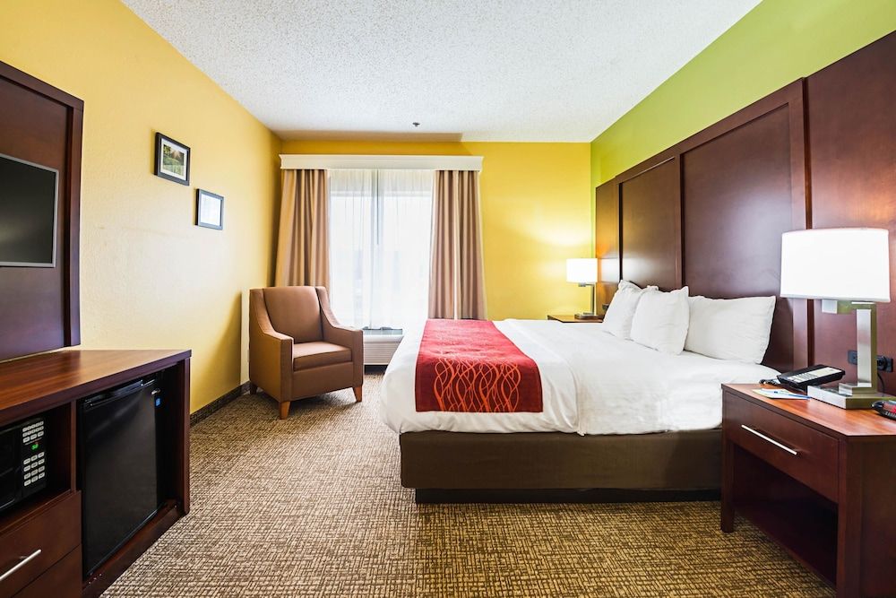 Room, 1 King Bed, Accessible, Non Smoking