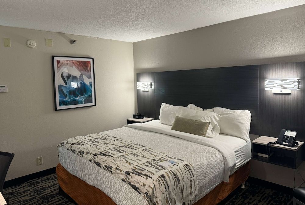 Room, 1 King Bed, Non Smoking