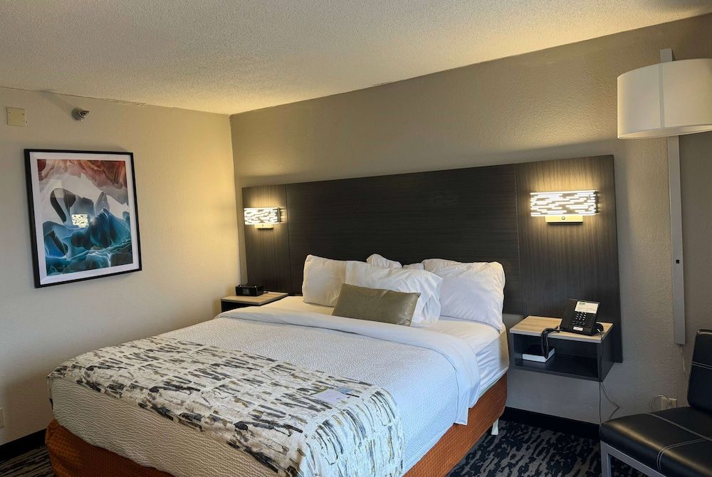 Room, 1 King Bed, Non Smoking