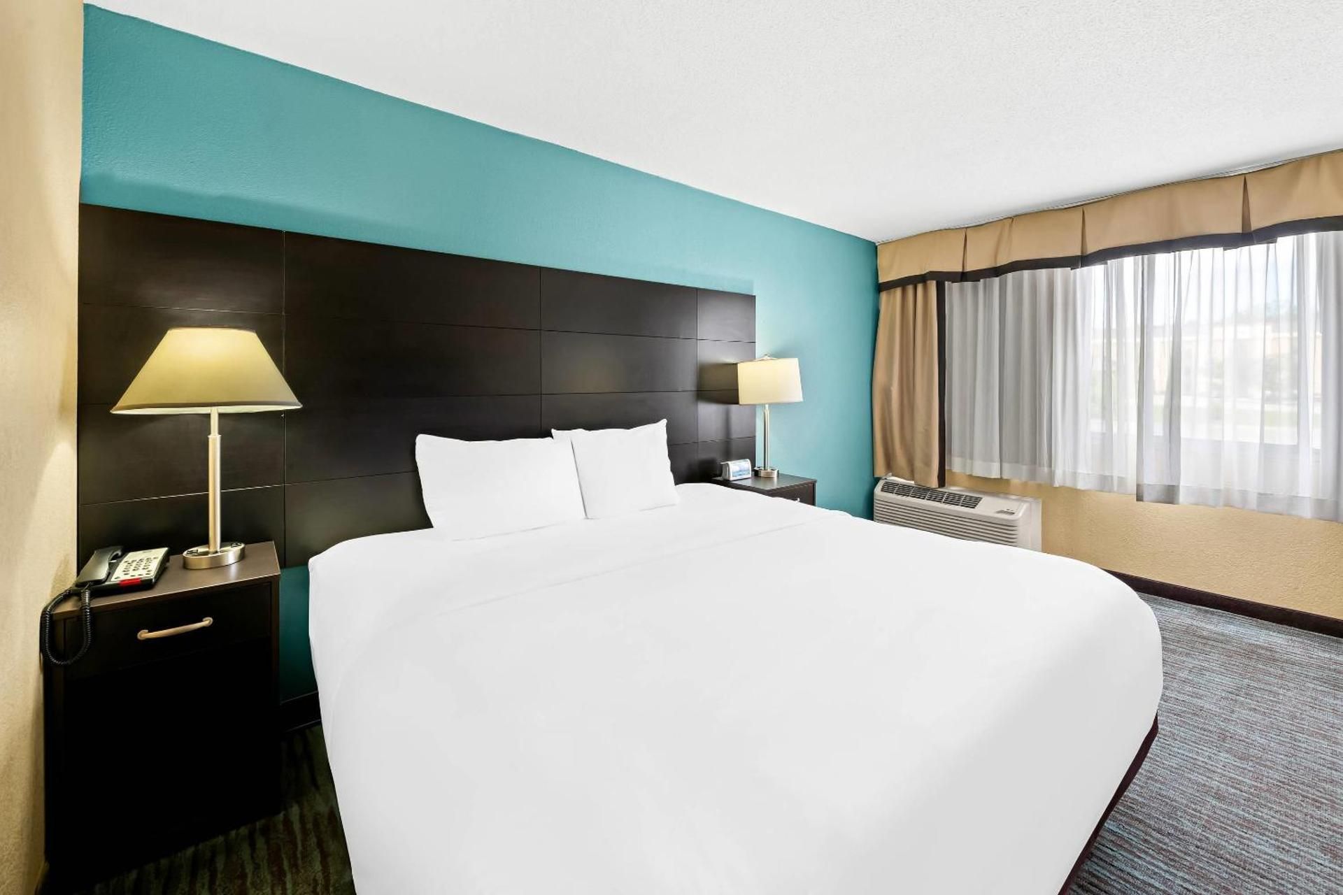 1 King Bed, Nonsmoking, Accessible