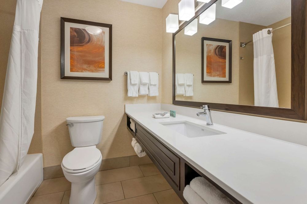 Standard Room, 1 King Bed, Non Smoking, Refrigerator & Microwave