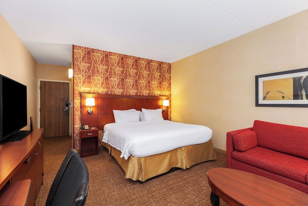 Room, 1 King Bed with Sofa bed (Mobility/Hearing Access, Roll-In Shwr)