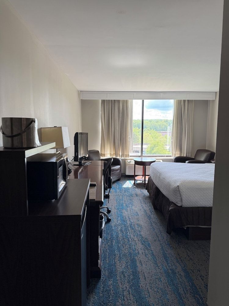 Deluxe Room, 1 King Bed, Non Smoking