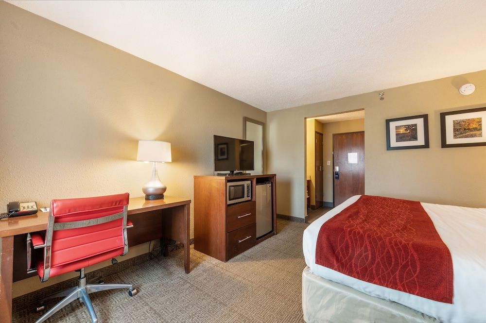 Standard Room, 1 King Bed, Non Smoking