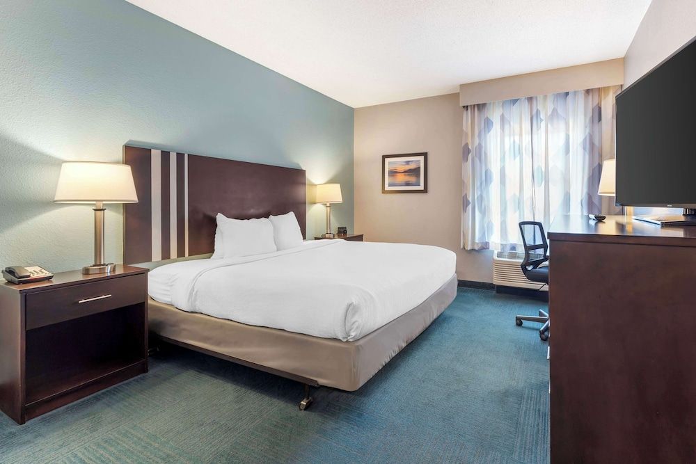 Standard Room, 1 King Bed, Accessible, Non Smoking