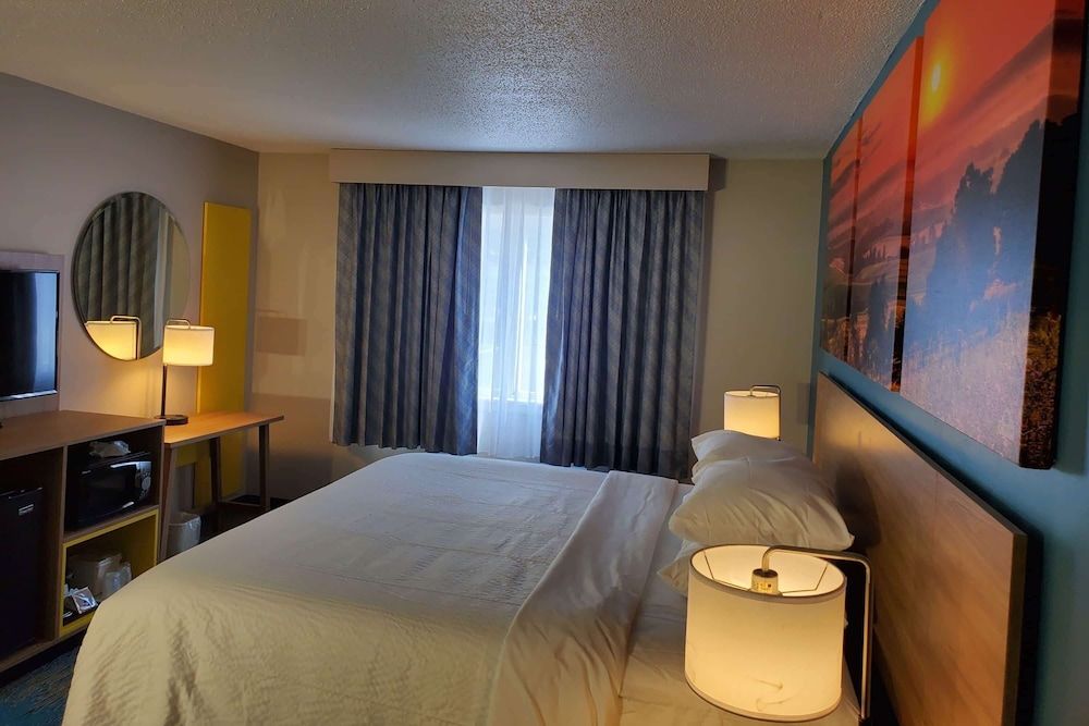 Room, 1 King Bed, Accessible, Non Smoking (free WiFi, service animals)