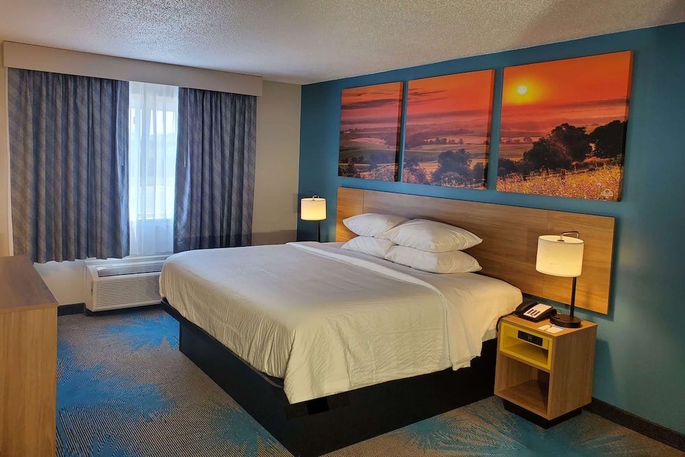 Room, 1 King Bed, Accessible, Non Smoking (free WiFi, service animals)