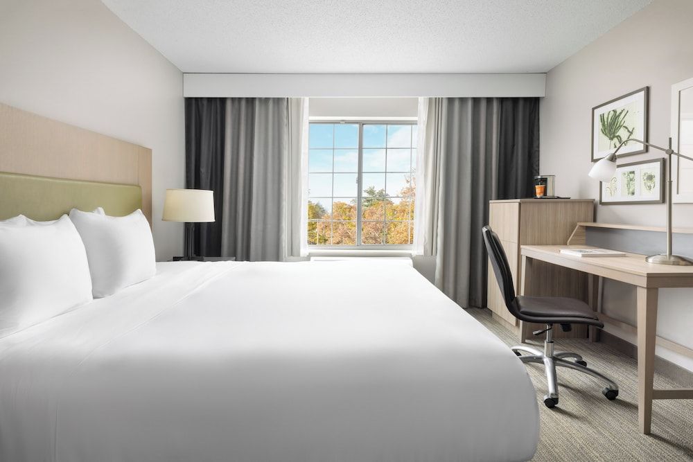 Room, 1 King Bed, Non Smoking