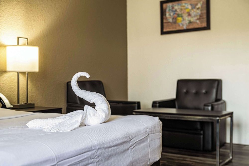 Room, 1 King Bed, Accessible, Non Smoking