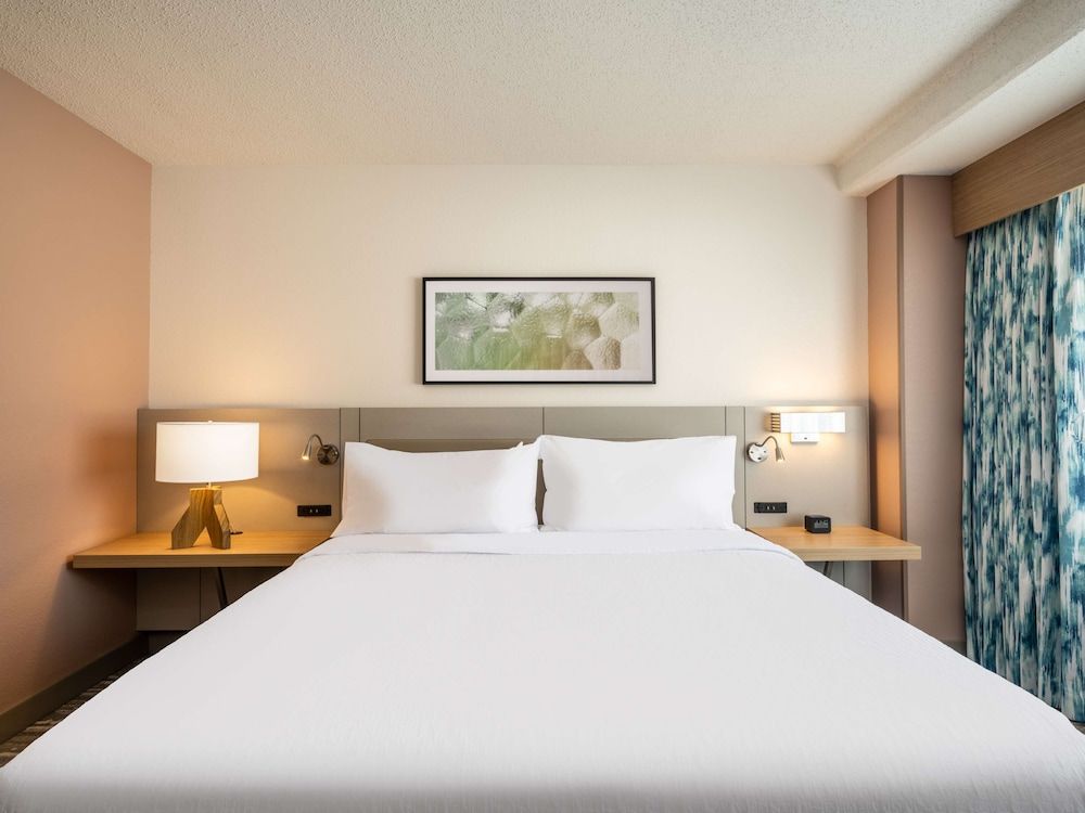 Room, 1 King Bed, Accessible (Hearing)